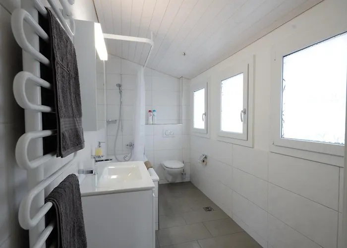 3 Lejlighed Interlaken